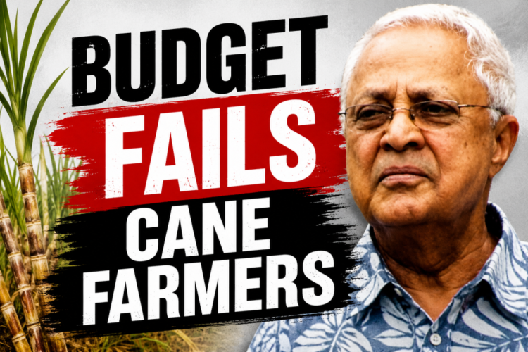 NFU maintains no-harvest stand – The Fiji Times