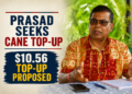 Prof Prasad urges sugar minister to increase forecast cane price