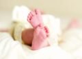 Dutch birth rate plummets 16% in the last 10 years