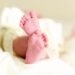 Dutch birth rate plummets 16% in the last 10 years