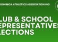 DAA to hold elections for club and school representatives on June 20