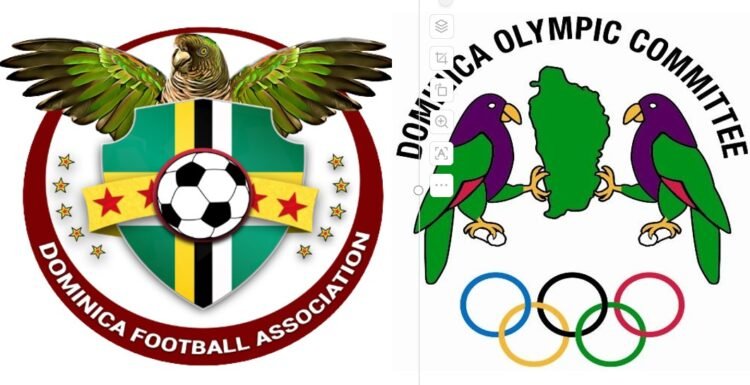 DFA Festival showcases youth football as Dominica celebrates Olympic Day