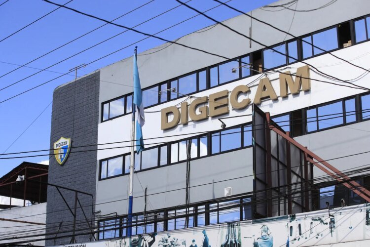 Ministry of Defense puts out to tender the purchase of a web protection system for the Digecam