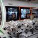 Audi Fires Up New MEBeco EV Drive in Hungary with Giant Investment