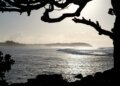 Wilderness as a luxury: “The real Mauritians are the trees and the birds” – DiePresse.com