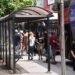 Skopje residents demand normal transportation conditions: Master, turn on the air conditioning — we’re leaking!