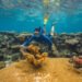 As Global Warming Threatens Corals Worldwide, Woods Hole Scientists Search for ‘Super Reefs’ That Can Take the Heat