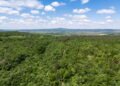 Hungary Joins the European Forest Conservation Initiative