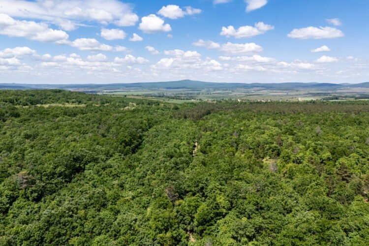 Hungary Joins the European Forest Conservation Initiative