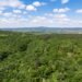 Hungary Joins the European Forest Conservation Initiative