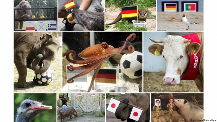 World Cup predictions: ChatGPT is the new octopus Paul