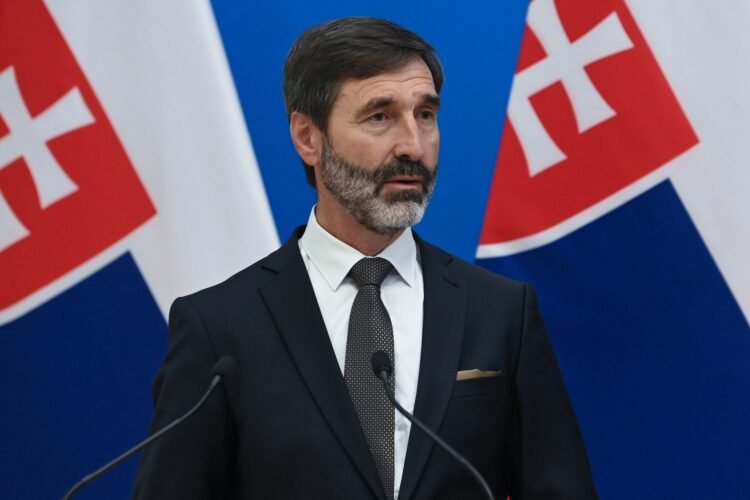 Attempts to Oust the Hungarian President “against Rule of Law,” Warns Slovak Foreign Minister