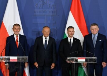 The V4 Makes a Comeback: Pragmatic Cooperation with a New Course