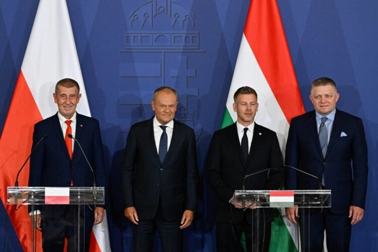 The V4 Makes a Comeback: Pragmatic Cooperation with a New Course