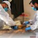 Authorities identify 27 more Storm Daniel victims in Derna