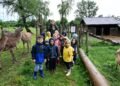 Tageblatt.lu | Escher Déierepark | Despite the rain: schoolchildren discover animals on the Galgenberg