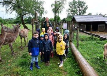 Tageblatt.lu | Escher Déierepark | Despite the rain: schoolchildren discover animals on the Galgenberg