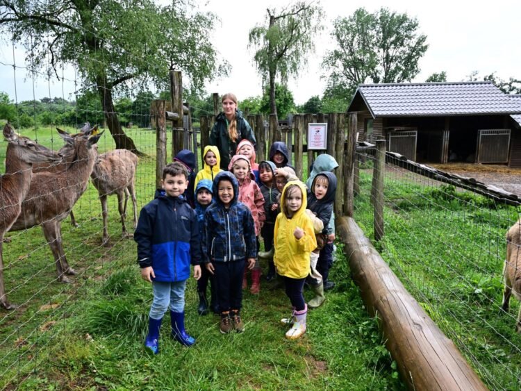 Tageblatt.lu | Escher Déierepark | Despite the rain: schoolchildren discover animals on the Galgenberg