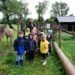 Tageblatt.lu | Escher Déierepark | Despite the rain: schoolchildren discover animals on the Galgenberg