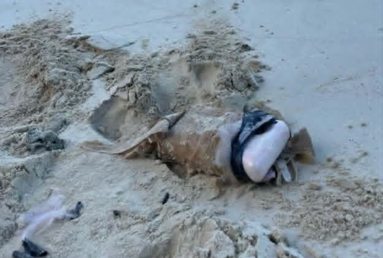 More suspected drug packages wash ashore on Vava’u beaches