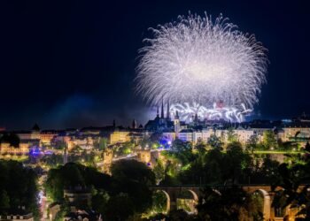 Tageblatt.lu | Luxembourg City | Fire after fireworks on the national holiday: CGDIS extinguishes 20 square meter area