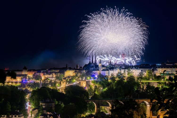 Tageblatt.lu | Luxembourg City | Fire after fireworks on the national holiday: CGDIS extinguishes 20 square meter area