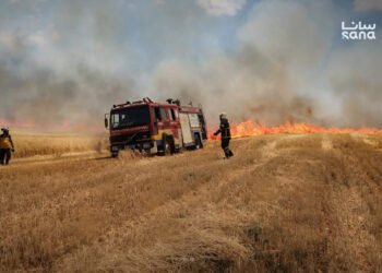 Emergency teams battle widespread fires in Hasakah, Aleppo countryside