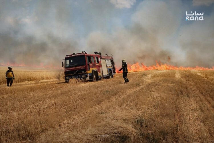 Emergency teams battle widespread fires in Hasakah, Aleppo countryside