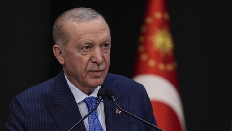 Erdoğan: Gas supplies to Syria support development and regional stability