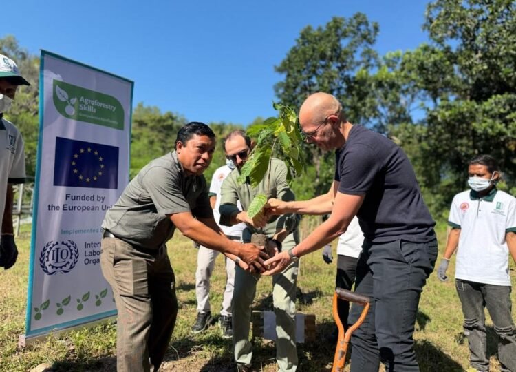 EU High-Level visit highlights agroforestry success in Timor-Leste
