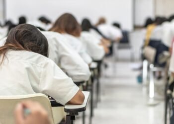 More Frisians read and write the language well, survey finds