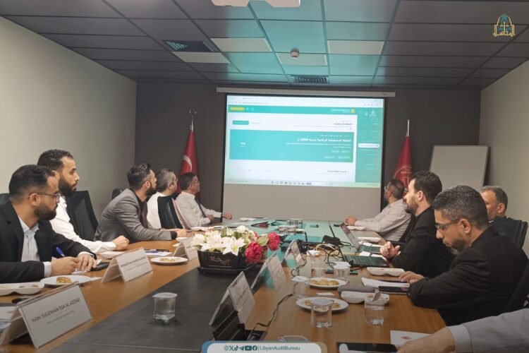 Audit Bureau, Turkish counterpart step up AI cooperation