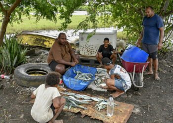 Tavua fishermen camp out to save fuel