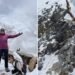 Chennai’s Dr Priya Selvaraj on surviving a crevasse fall and summiting Mount Everest