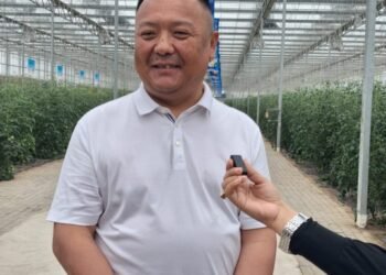 From Seed to Table: Anhui Entrepreneur Uses Agrotech to Transform China’s Tomato Industry
