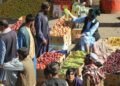 Herat orchard owners see higher yields, but storage, market gaps persist – Pajhwok Afghan News