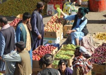 Herat orchard owners see higher yields, but storage, market gaps persist – Pajhwok Afghan News