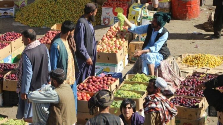 Herat orchard owners see higher yields, but storage, market gaps persist – Pajhwok Afghan News