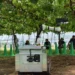Robot to support grape cultivation demonstrated in Central Japan
