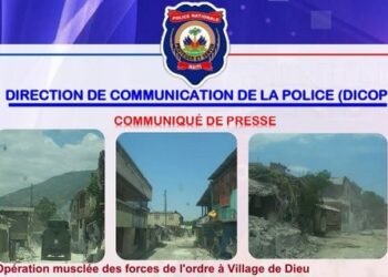Several bandits killed and six weapons seized in Village de Dieu