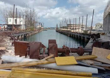 Developers pledge public access, historic Screw Dock preservation in waterfront project