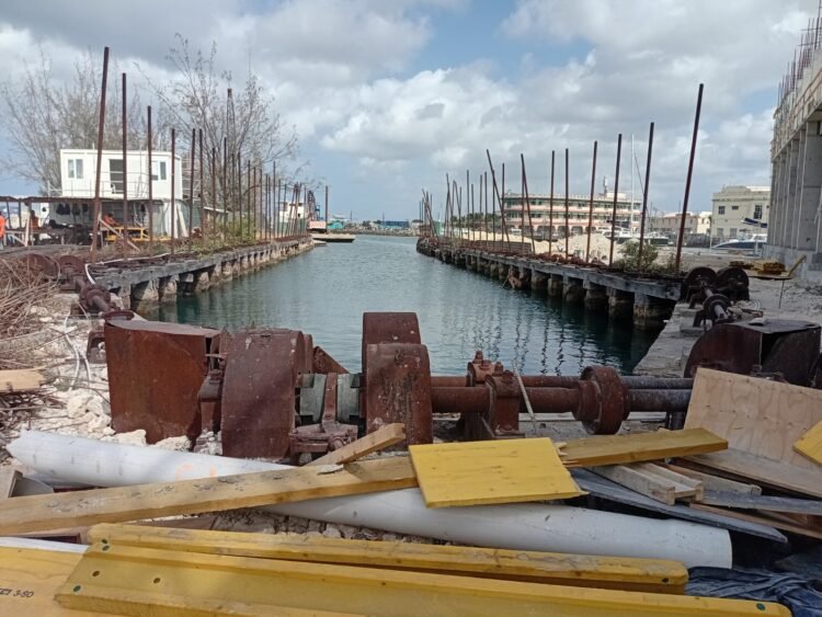 Developers pledge public access, historic Screw Dock preservation in waterfront project