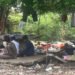 Homeless drug addicts rounded up in Phnom Penh