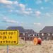 New private renters spend 35% of income on housing: CBS
