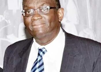 Development bank risks becoming welfare agency – former ambassador