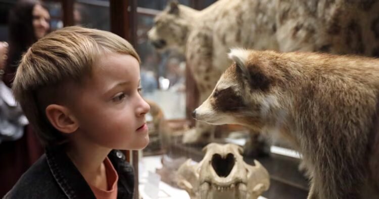 Dublin’s Dead Zoo is home to the funniest exhibit of all time. Please let it return soon – The Irish Times