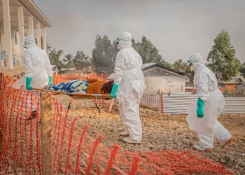 France reports first Ebola patient as cases in Africa surge above 1,000