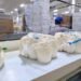 Guangxi Mushroom Giant Combines Smart Farming and Exports to Boost Regional Growth