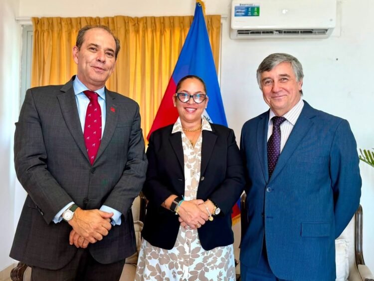 Bilateral meeting: Chile reassures Haiti on the fate of missing Haitian minors