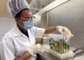 Romelia’s goal is to cure Alzheimer’s